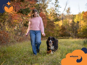 Woman in pink sweater walks with a black dog on a grass path in autumn. Forest in background. Text: "wilsons HEALTH" with logo.