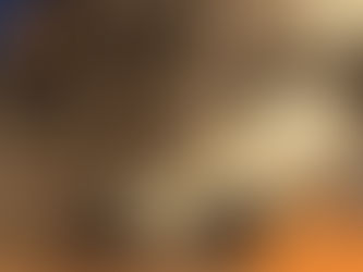 Sleeping dog resting on a wooden floor, conveying tranquility. Soft fur detail. "Wilsons Health" logo in orange and navy at the corner.