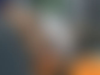 Three bowls of dog food on a table, with a dog in the background. "Wilsons Health" logo is visible. The scene appears calm.