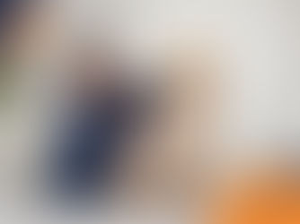 Vet in blue scrubs listens to a Golden Retriever's chest with a stethoscope. White room with patterned drapes. Logos say "wilsons HEALTH."