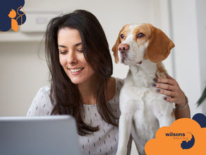 Woman smiling at laptop with a beagle beside her. Cozy indoor setting. Logo reads "Wilsons Health" in orange and blue.