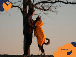 Person in a black coat and dog in a yellow coat stand together under a bare tree at sunset. "wilsons HEALTH" logo in orange and navy.
