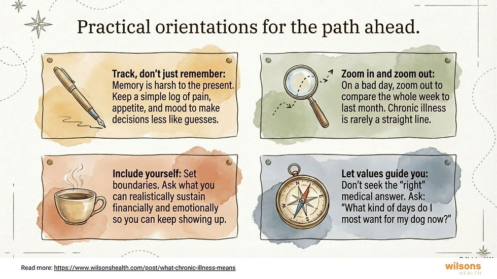 Practical orientations for the path ahead - when living with a chronically ill dog. Four boxes with advice on managing chronic illness featuring tracking, zooming in and out, focus on yourself, and the right values to be set.