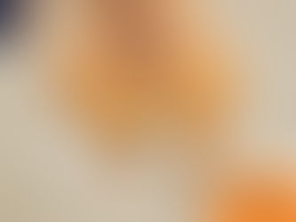 Brown dog lying on sandy ground, viewed from behind. Orange and blue logo of Wilsons Health in the corner. Bold textures visible.