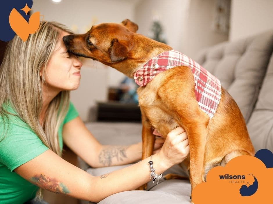 Woman in a green shirt playfully receives a lick from a brown dog wearing a red plaid vest on a sofa. Wilsons Health logo visible.