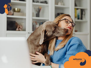 Woman in blue sweater and glasses hugs a gray dog in a cozy room. She smiles with eyes closed. Wilsons Health logo in the corner.