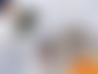 Fluffy white dog with tongue out on a wooden deck, background of blurred greenery. Logos in corners: paw print, "Wilsons Health".