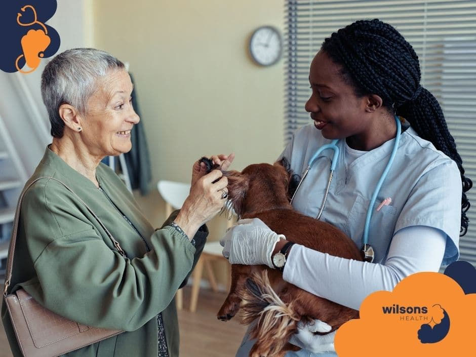 Elderly woman smiles at a vet holding a dog. Vet in scrubs with stethoscope. Background has a clock and blinds. Wilsons Health logo visible.