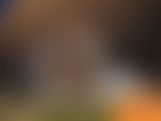 Family sitting on a blanket in front of stacked logs. Smiling, woman kisses man, holding a dog. Child hugs another dog. "Wilsons Health" logo.