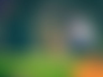 Man and Golden Retriever sitting on grassy field in park. Trees in background, relaxed mood. Wilsons Health logo in corner.