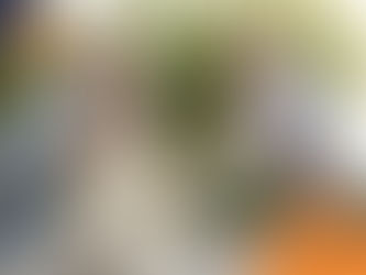 Elderly couple with a golden retriever shaking hands, outdoors on a sunny day. The dog is yawning. Wilsons Health logo visible.