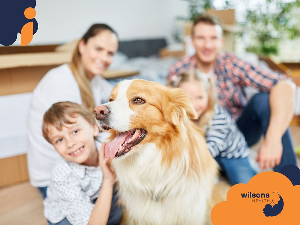 Family and dog in a bright room with boxes. Happy kids and parents sitting close to a fluffy, smiling dog. Wilsons Health logo on the corner.