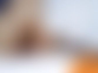 Golden retriever and gray cat lying on the floor indoors, looking relaxed. Wilsons Health logo in corner with orange and navy colors.