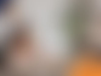 Woman meditating on floor with sleeping dog beside her, in a cozy room with bed, large plant, and chair. Relaxing mood. Visible "Wilsons Health" logo.