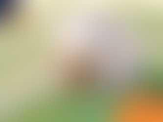 An itchy beige dog relaxes on grass, sniffing its tail. The image features the "Wilson's Helath" logo.