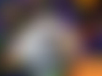 Fluffy white dog with a collar in front of colorful holiday lights, looking attentively. "Wilsons Health" text and logo in the corners.