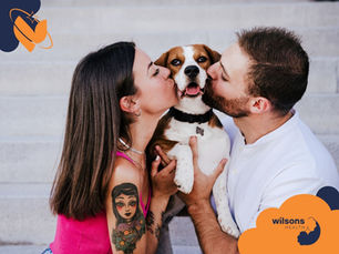 A man and woman kiss a dog on the cheeks on steps. The woman has a tattoo on her arm. Wilsons Health logo is visible. Emotive, loving scene.