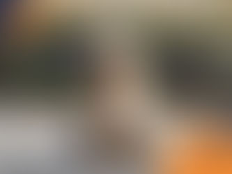 Shaggy dog sitting on a pavement with a grassy background. Dog appears unkempt. Logos and text, "wilsons HEALTH," are visible.