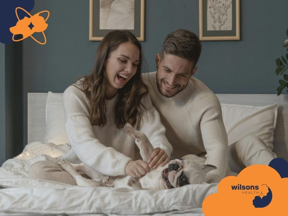 A couple in white sweaters playfully pet a happy bulldog on a bed. The room has blue walls with framed art. Logo: "Wilsons Health."