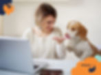 Woman smiles as a dog licks her hand. They're seated at a desk with a laptop. Warm, cozy setting with a logo reading "wilsons HEALTH".