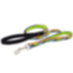 34 high country double handle leash.jpg