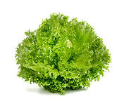 240_F_299869505_16dtusDLJTz6TtcHV8DTB6Q6