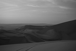 MEL04203b&w