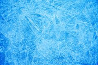 bright-winter-nature-closeup-christmas-d