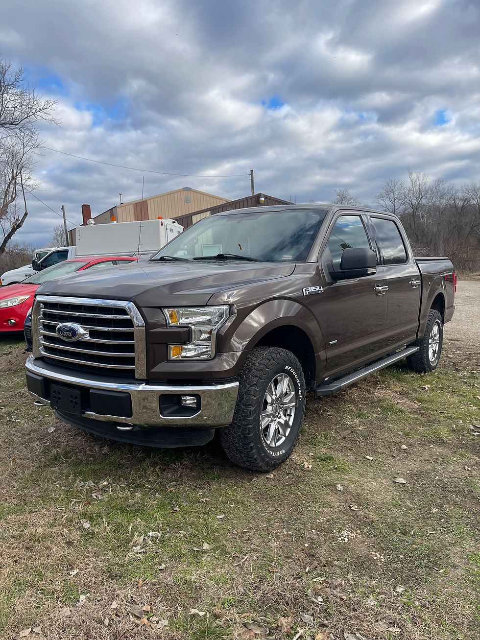 15 FORD F150 BROWN