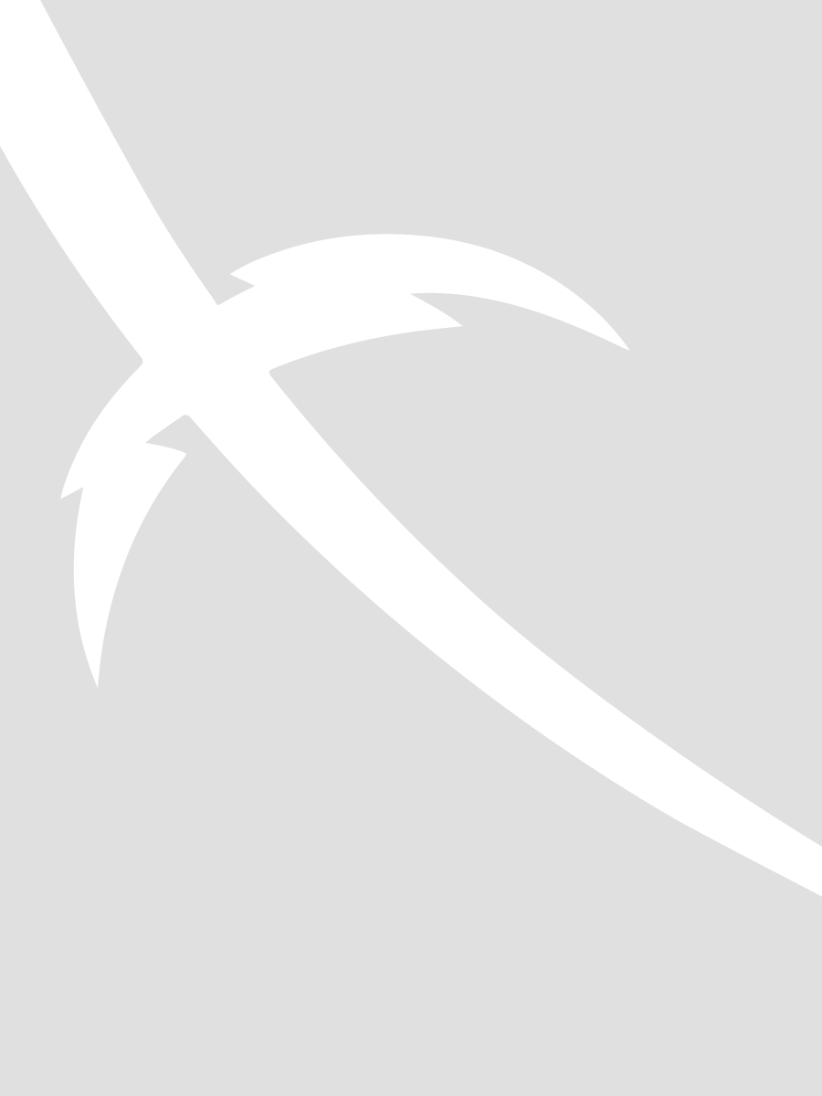Grayed Out Shield.png