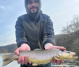 upper delaware fly fishing, upper delaware fly fishing guide, drift boat guide, the delaware river club, dry flies, dry fly fishing, hatches, bug hatches, entomology, trout fishing, drift boats, drift boat trips, float trips, brown trout, rainbow trout, big trout, big rivers, the catskills