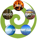 Wu Qing Tong Ti Suite Detox Pro Chinese 5 elements herbal detox