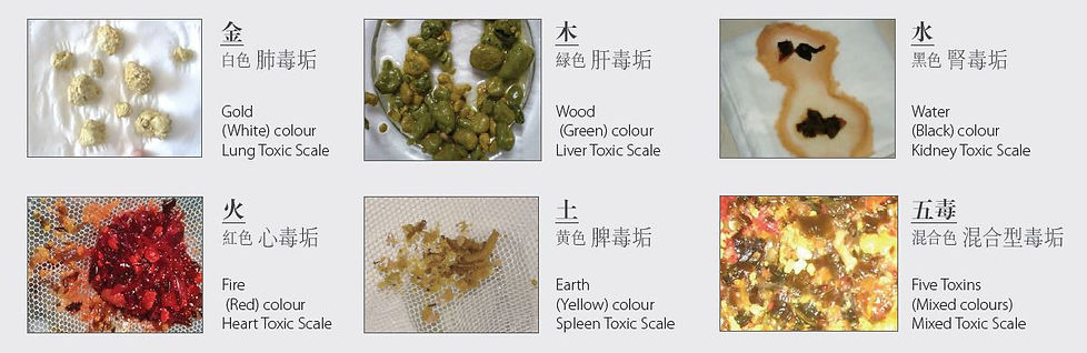 Wu Qing Tong Ti Suite Detox Pro Chinese 5 elements herbal detox
