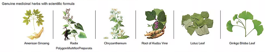 Wu Qing Tong Ti Suite Detox Pro Chinese 5 elements herbal detox