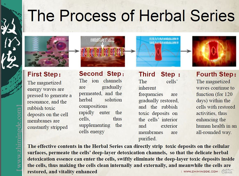 Wu Qing Tong Ti Suite Detox Pro Chinese 5 elements herbal detox