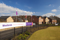 DYP_DSA Terminal 0213.jpg