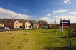 DYP_DSA Terminal 0214.jpg