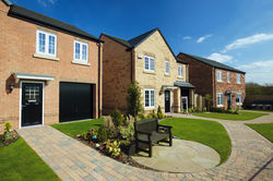 DYP_DSA Terminal 0212.jpg