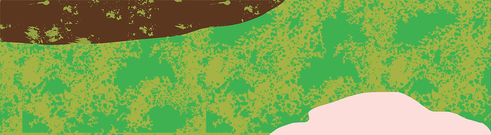 Broccoli_Web_Graphics-07.png