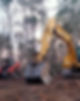 Land Clearing, Grubbing, Stump Removal_edited_edited.jpg