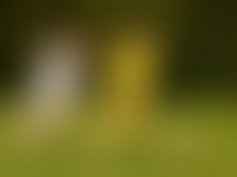 FOTO: RADOMLJANKE OPRAVILE ŠE Z GENERALKO