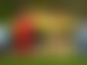 ŠTIRINAJST LET RUMENOSRČNIH