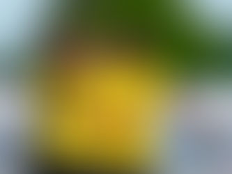 PO PRVEM NASTOPU ZA SENEGAL: »SANJE IGRATI ZA SVOJO DRŽAVO«