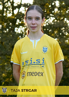 StrgarTaja.png