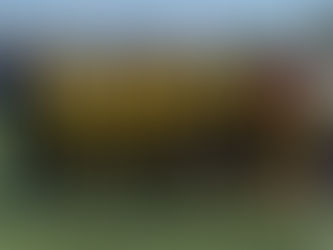 SELEKCIJI DU15 IN DU17 DOPOLNILI USPEŠEN TEDEN RUMENOSRČNIH