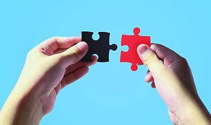 vecteezy_hands-holding-jigsaw-_edited_ed