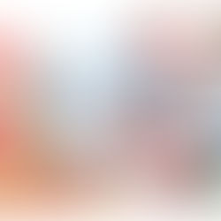 Incendio no Bosque Ridimoas