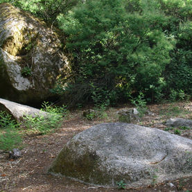 995 m2 integrados ao bosque