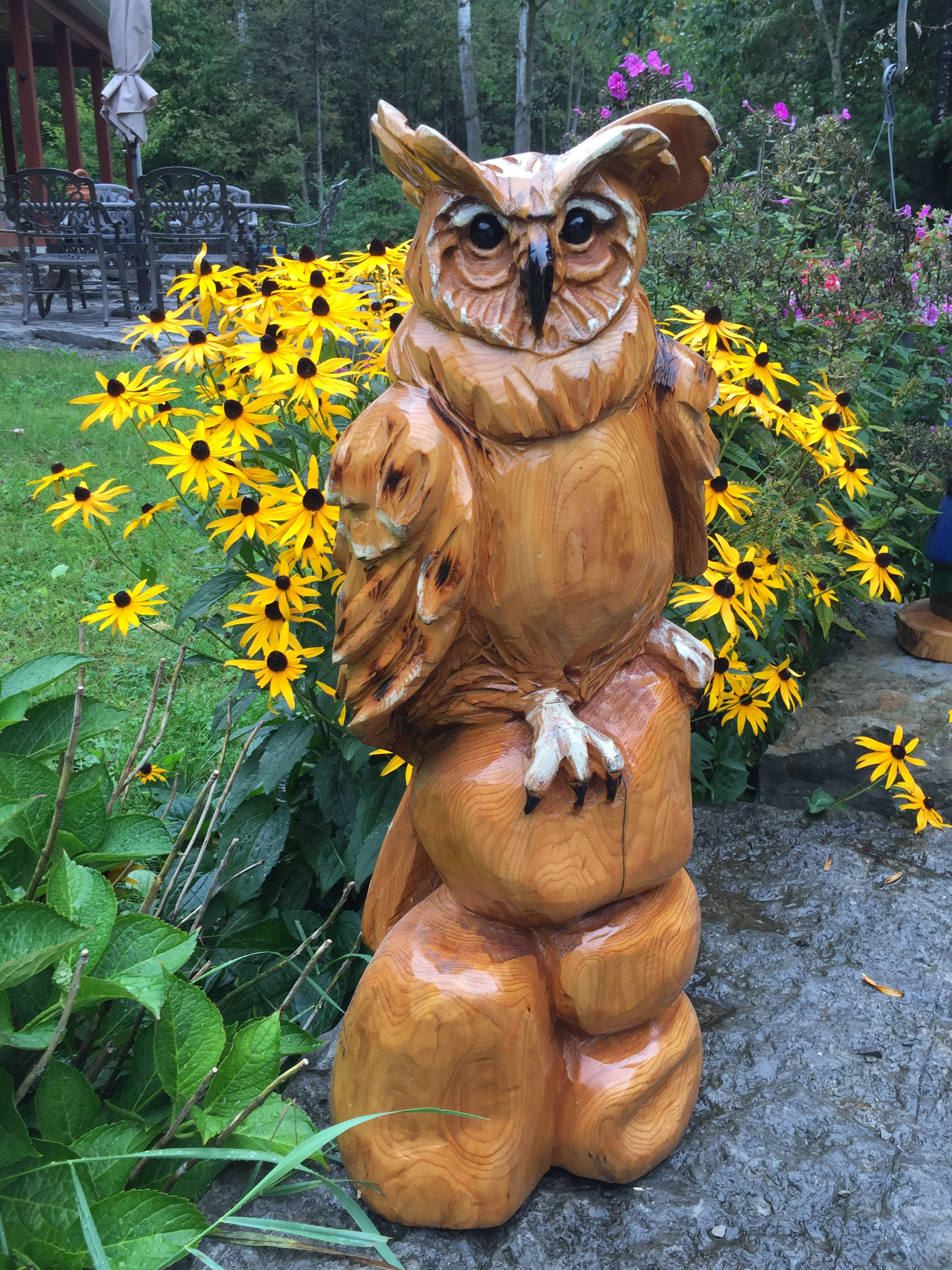 Great Horned Owl- Perched