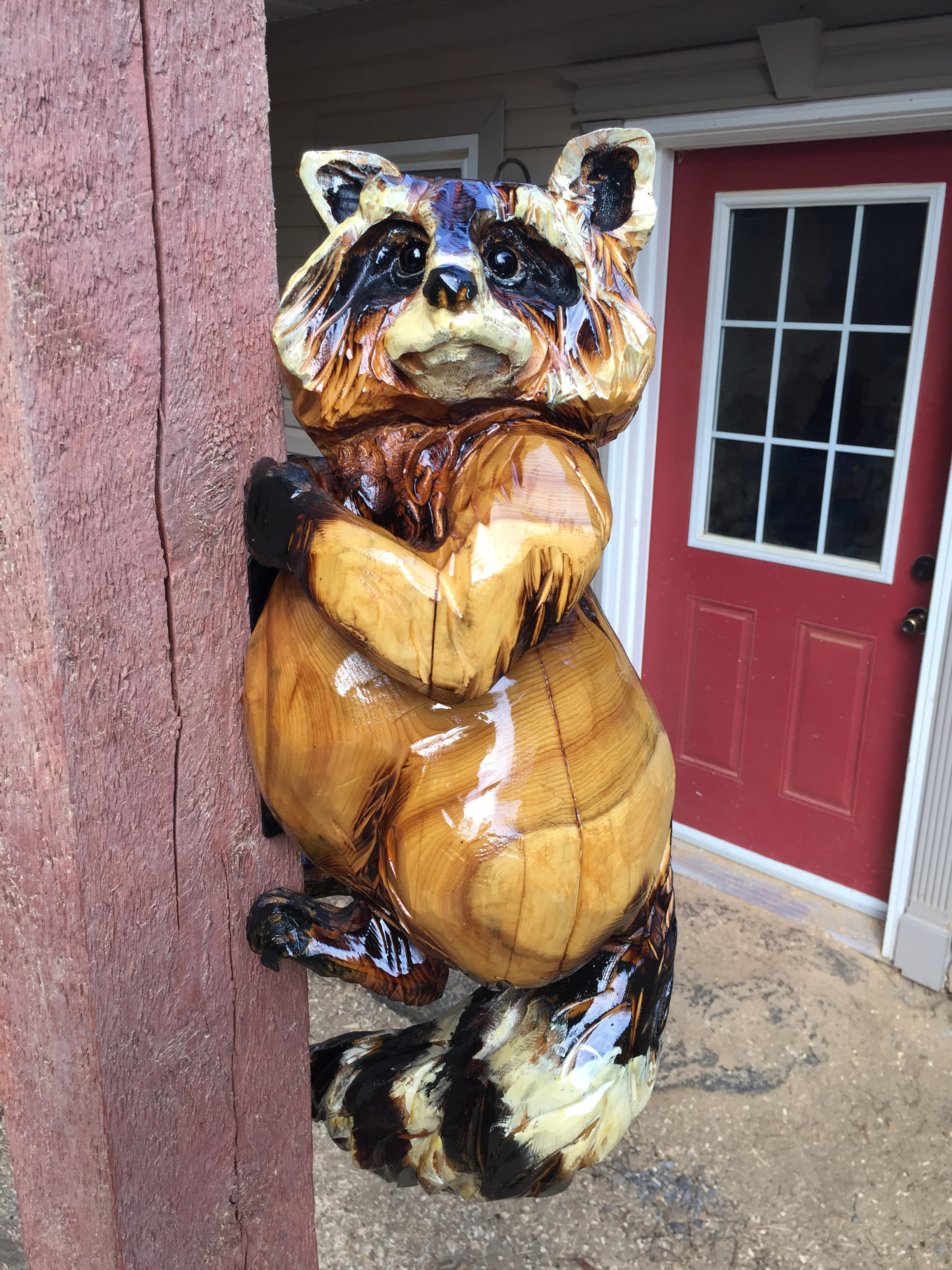 Hanging Raccoon